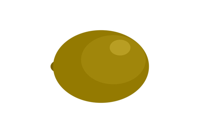 kiwi-icon-flat-style