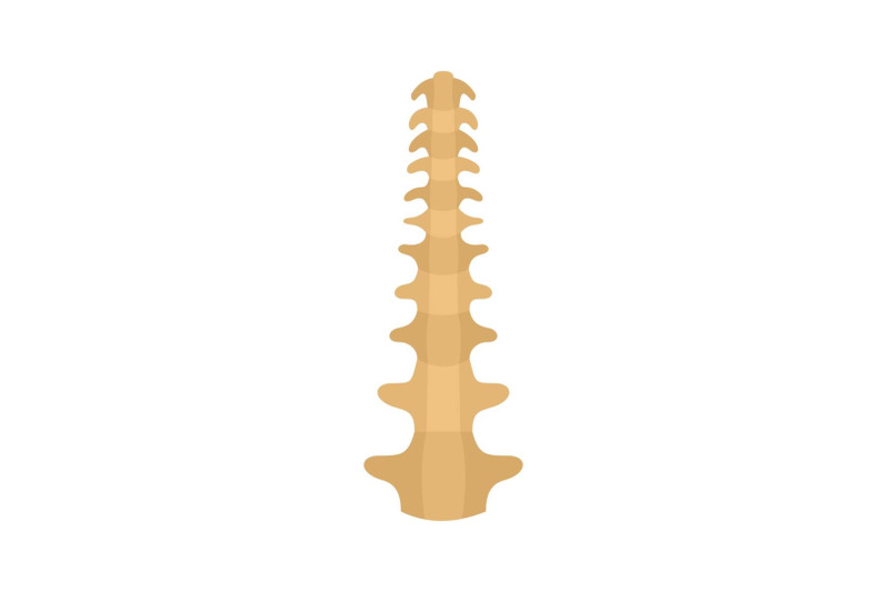 human-spine-icon-flat-style