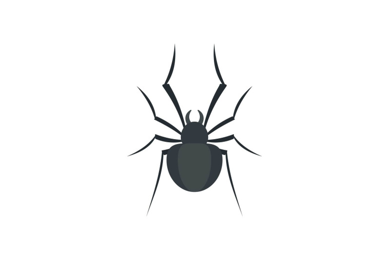 black-house-spider-icon-flat-style