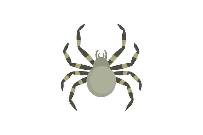 tarantum-spider-icon-flat-style