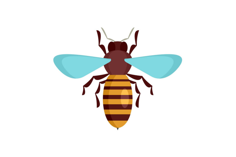 bee-insect-icon-flat-style