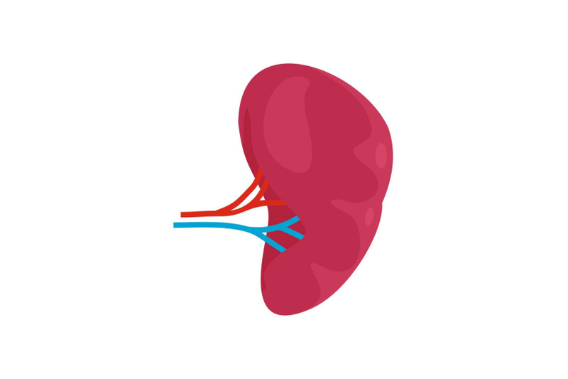 health-kidney-icon-flat-style