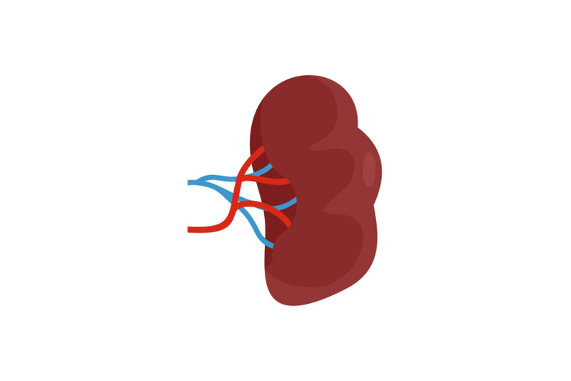 brown-kidney-icon-flat-style