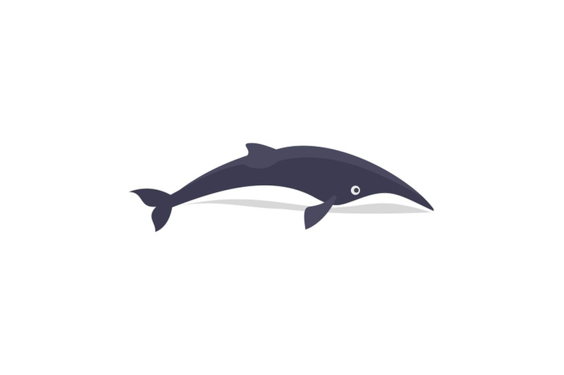 minke-whale-icon-flat-style