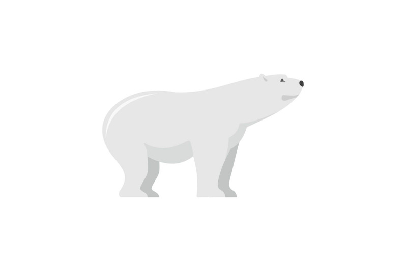 watching-of-polar-bear-icon-flat-style