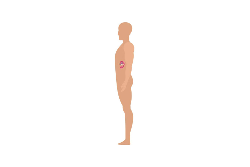 side-view-spleen-human-body-icon-flat-style