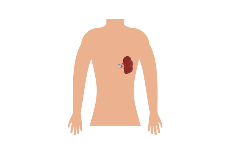 human-spleen-icon-flat-style