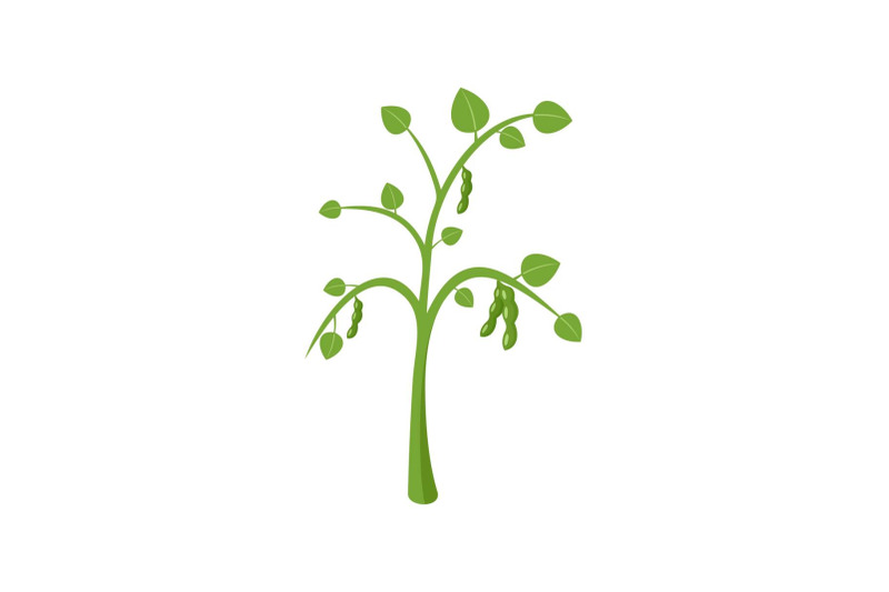 peas-plant-icon-flat-style