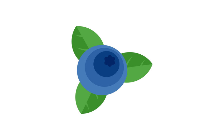 blueberry-icon-flat-style