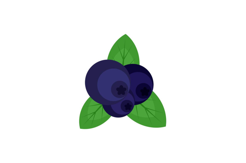 fresh-blueberry-icon-flat-style