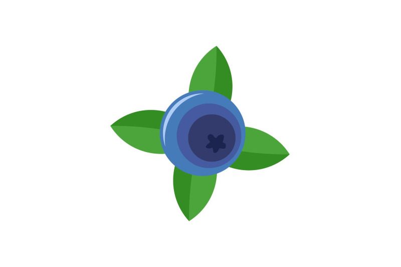 blueberry-with-shadow-icon-flat-style