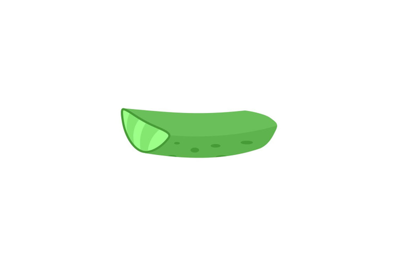 piece-of-aloe-vera-icon-flat-style