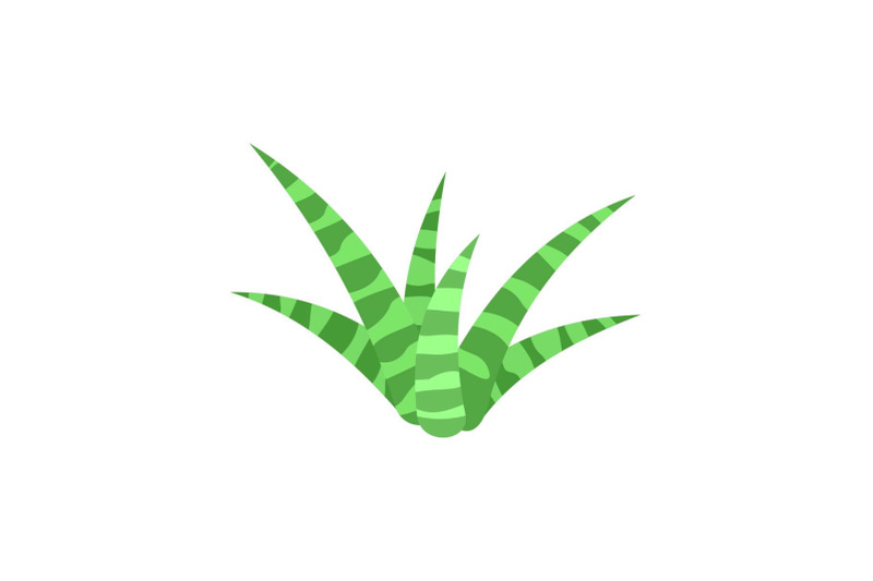 white-green-aloe-icon-flat-style