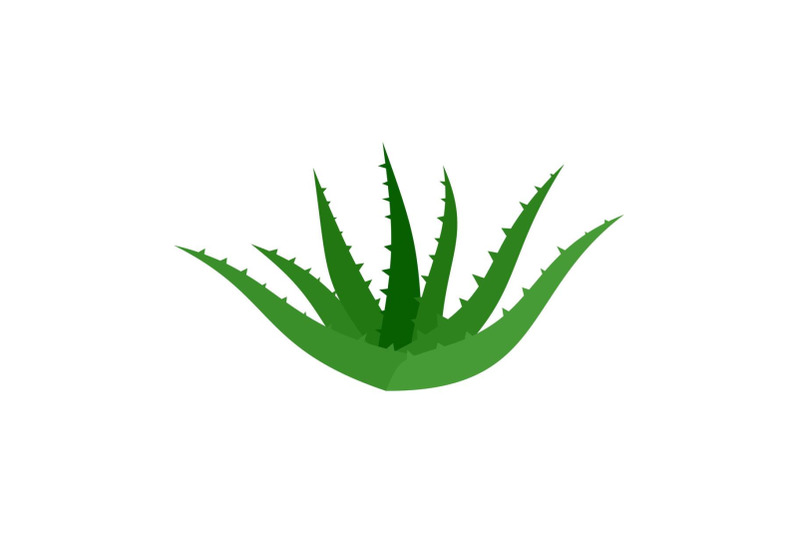 aloe-vera-icon-flat-style