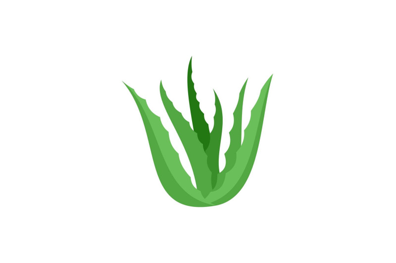 green-aloe-vera-icon-flat-style