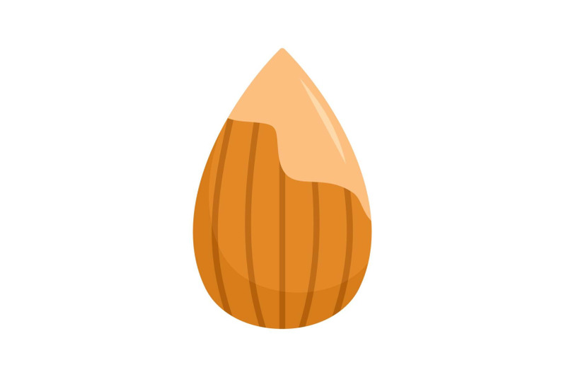 almond-icon-flat-style