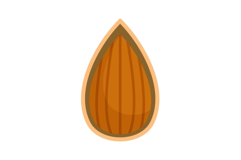 almond-in-shell-icon-flat-style