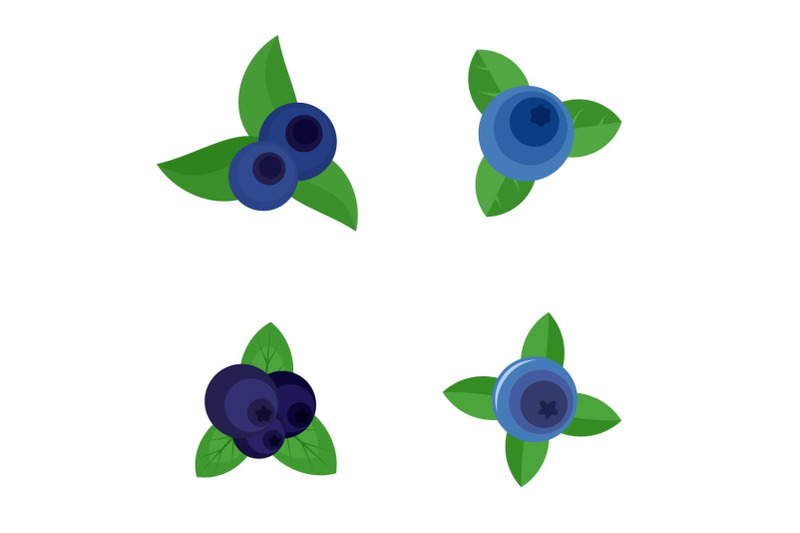 blueberry-sweet-fruit-icons-set-flat-style