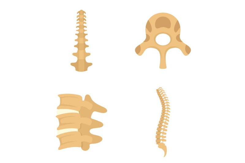 spine-orthopedic-vertebra-icons-set-flat-style