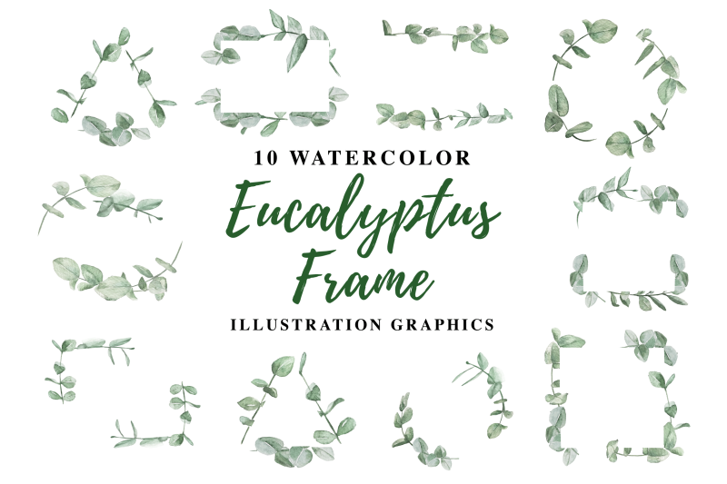 10-watercolor-eucalyptus-frame-illustration-graphics