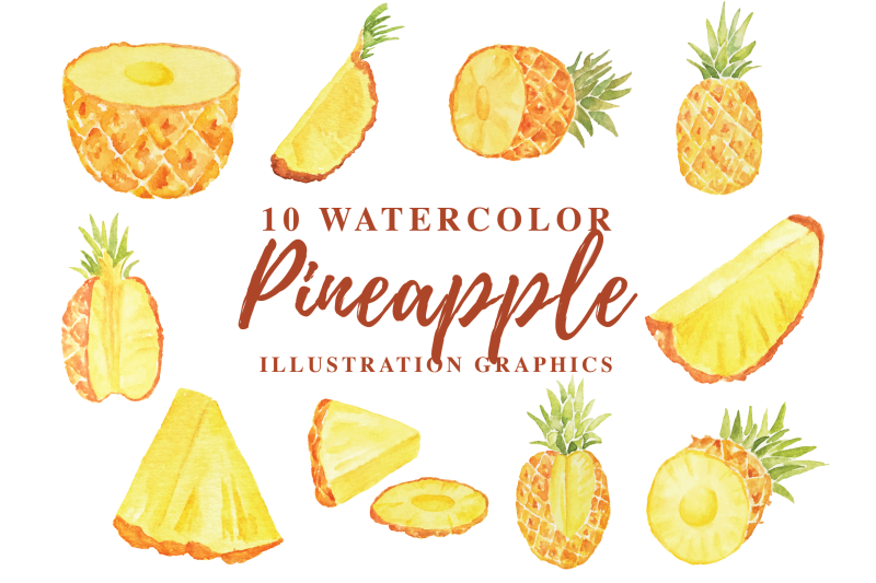 10-watercolor-pineapple-illustration-graphics