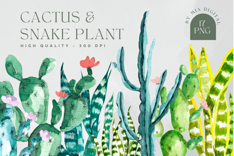 green-watercolor-cactus-snake-plant-png-elements