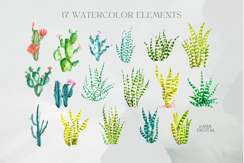 green-watercolor-cactus-snake-plant-png-elements