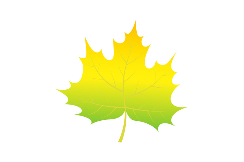 green-leaf-of-tree-icon-isometric-style