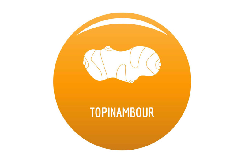 topinambour-icon-vector-orange