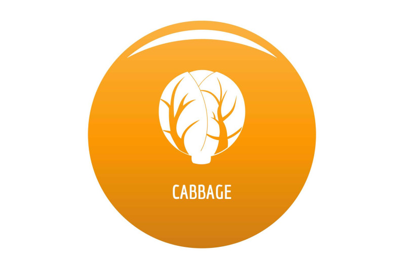 cabbage-icon-vector-orange