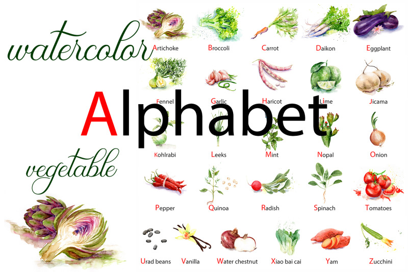 english-alphabet-made-from-watercolor-vegetables