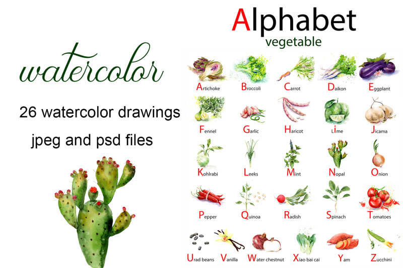 english-alphabet-made-from-watercolor-vegetables