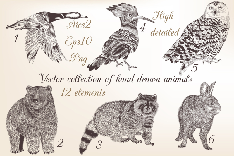 set-of-engraved-animals