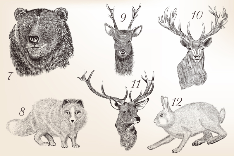 set-of-engraved-animals