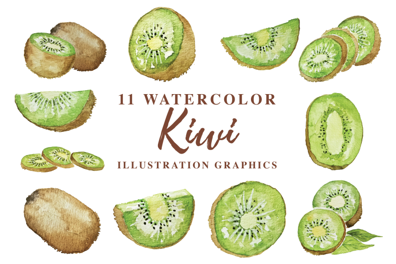 11-watercolor-kiwi-illustration-graphics