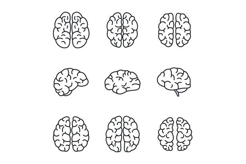 brain-mind-icon-set-outline-style