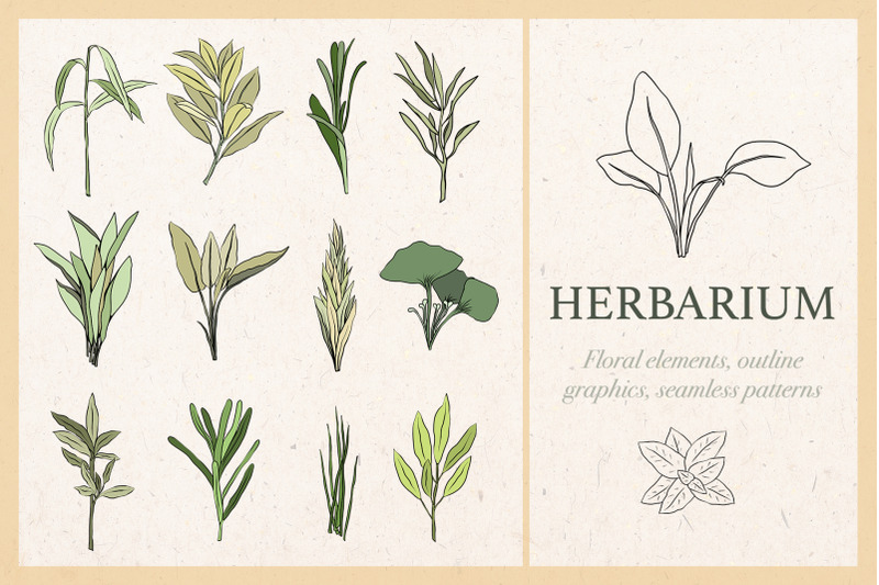 herbarium-graphic-collection