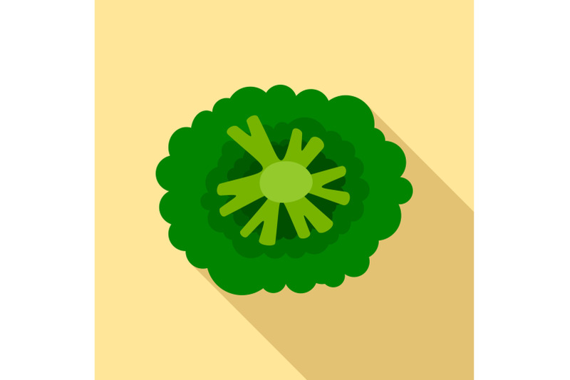 top-view-broccoli-icon-flat-style