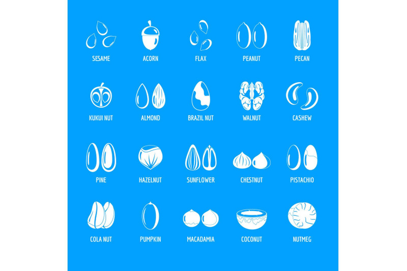 nut-types-with-signed-names-icons-set-simple-style
