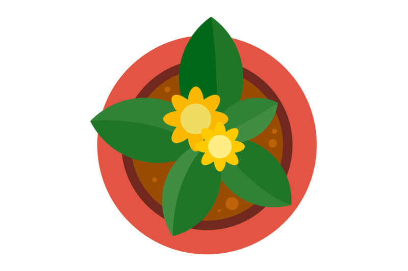 top-view-plant-pot-icon-flat-style