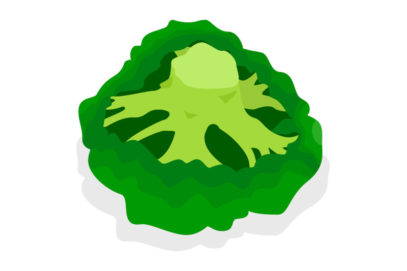 fresh-broccoli-icon-set-isometric-style