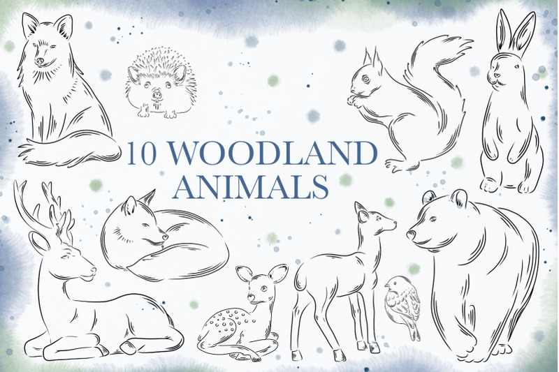 10-woodland-animals-png