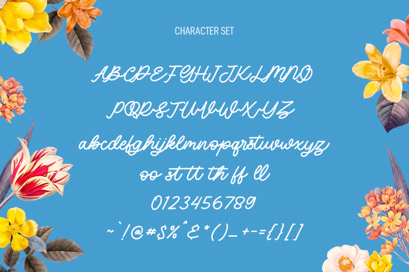 blufcrowds-classic-script-font