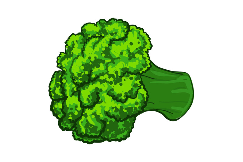 broccoli-icon-cartoon-style