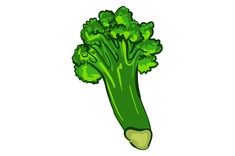 organic-broccoli-icon-cartoon-style