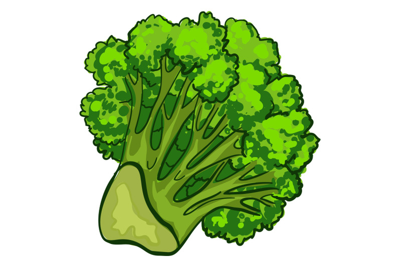 fresh-broccoli-icon-cartoon-style
