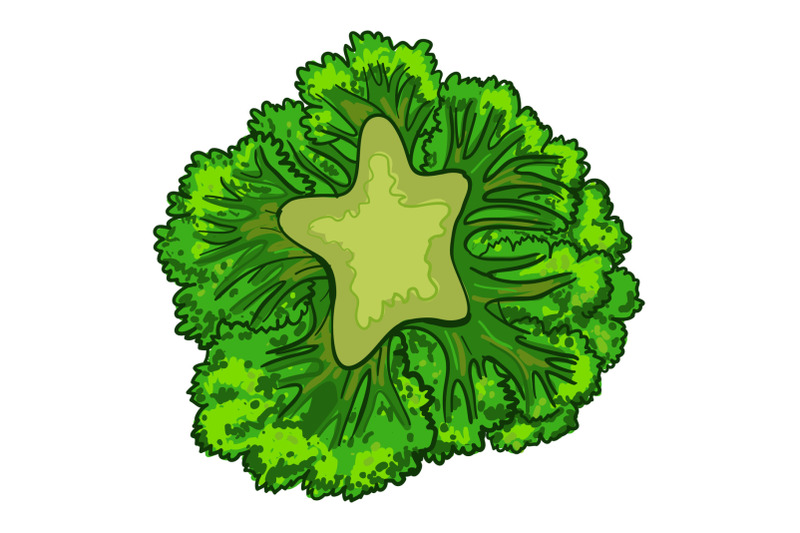 broccoli-cabbage-icon-cartoon-style