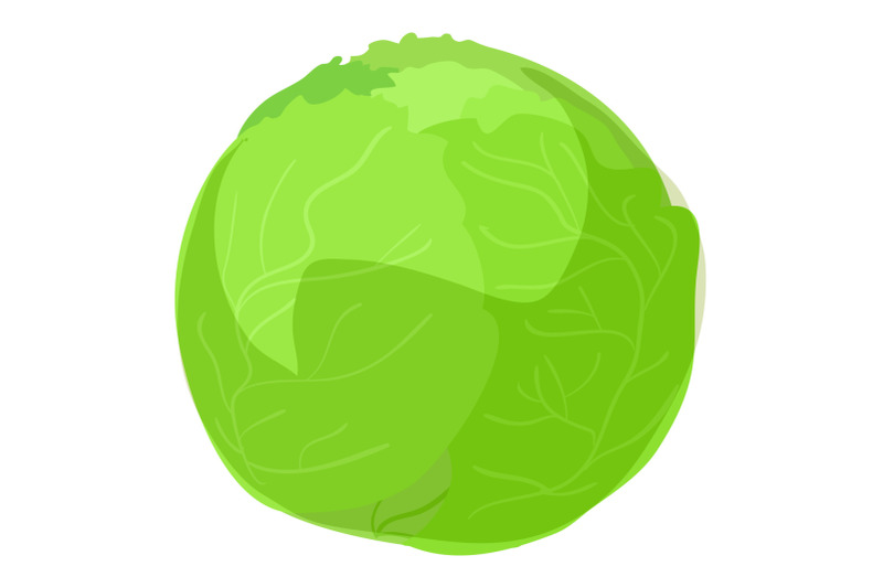 green-cabbage-icon-cartoon-style