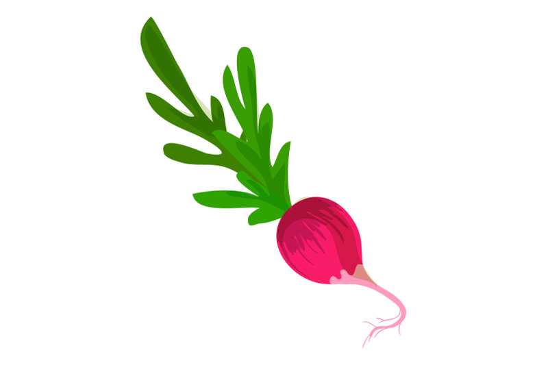 fresh-radish-icon-cartoon-style