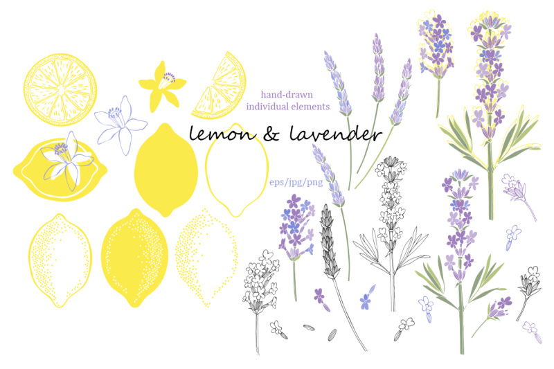 lemon-amp-lavender-vector-collection